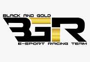 Black and Gold Racing