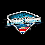 Simracing Team Lowlands 