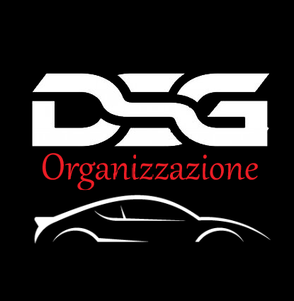 DSG Organizzazione