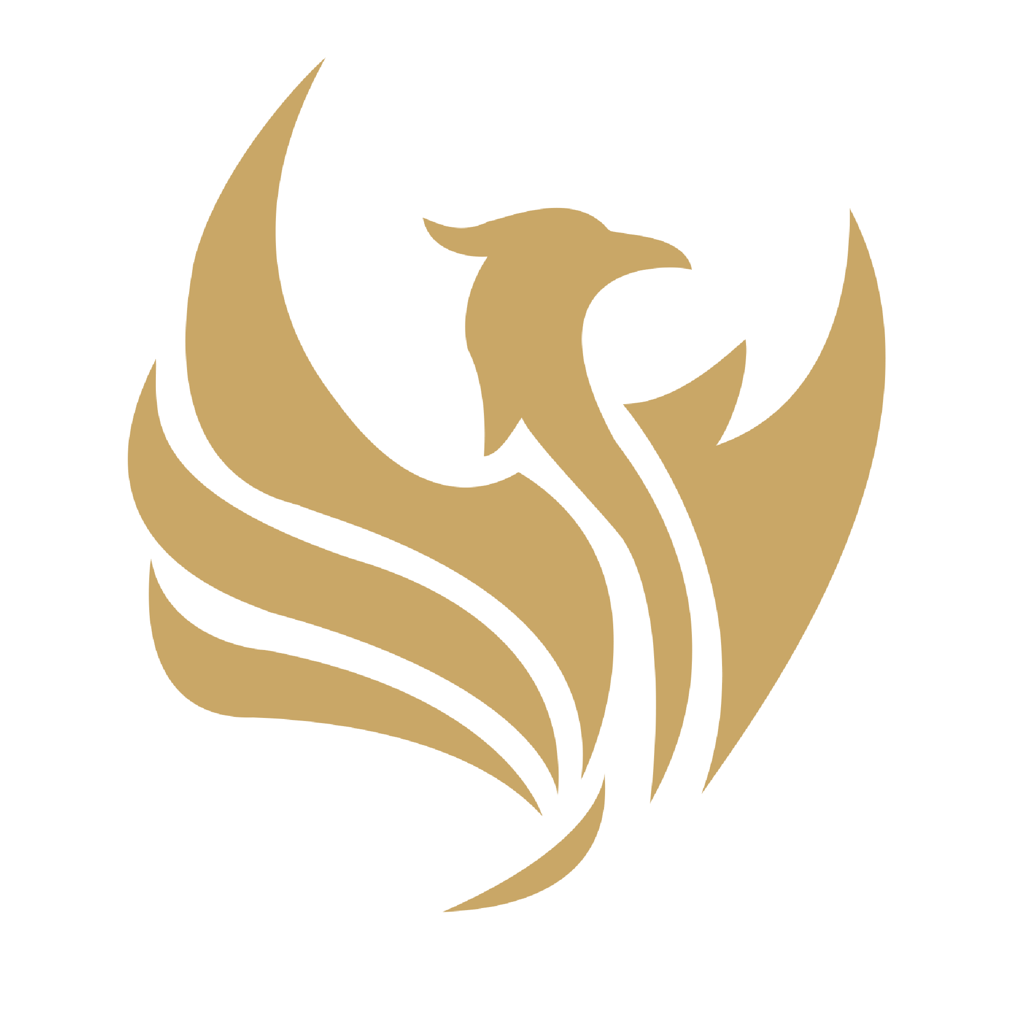 Project Reborn
