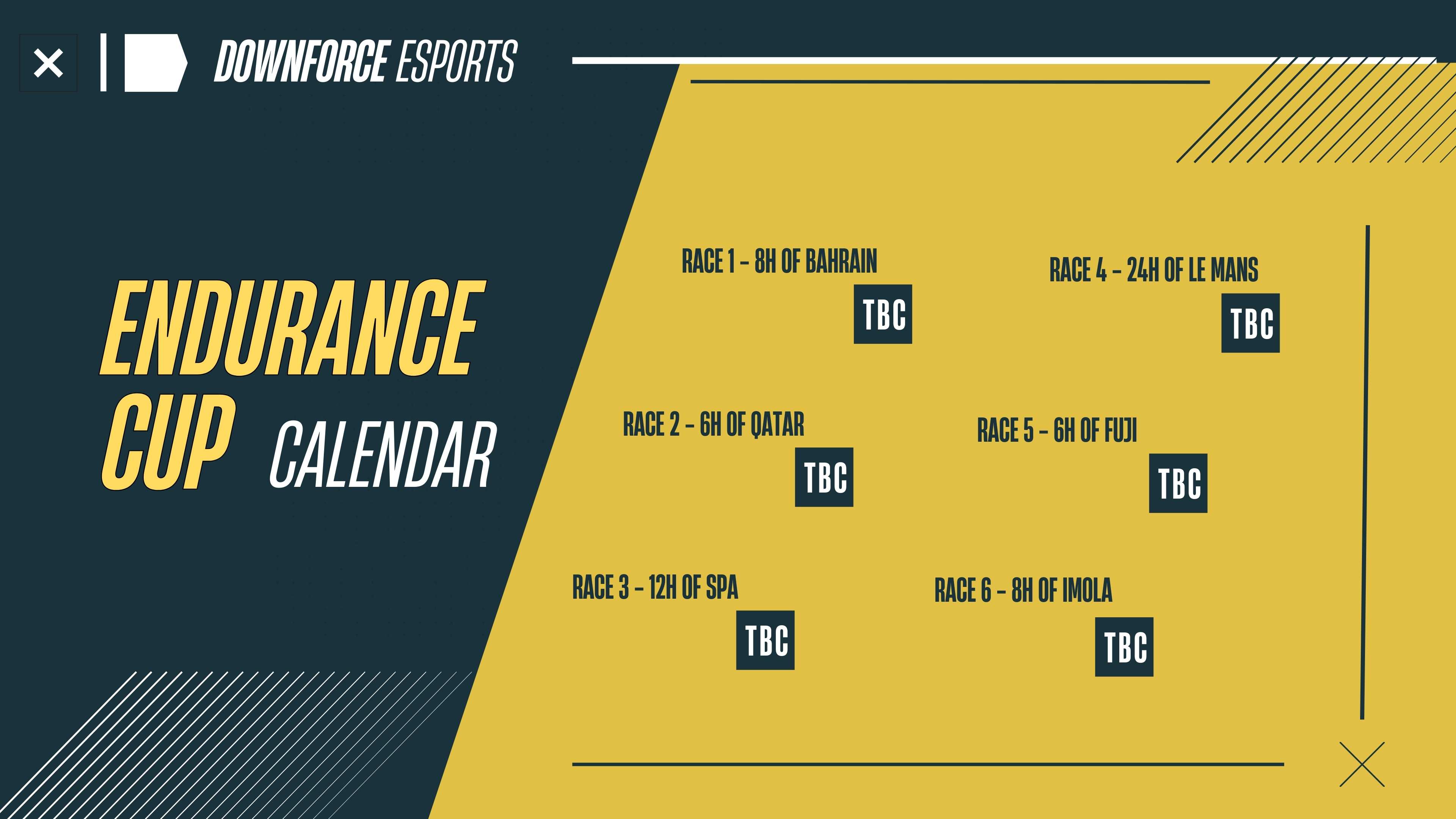 Downforce Esports - Endurance Cup / Read description