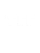 True Racing Revival 