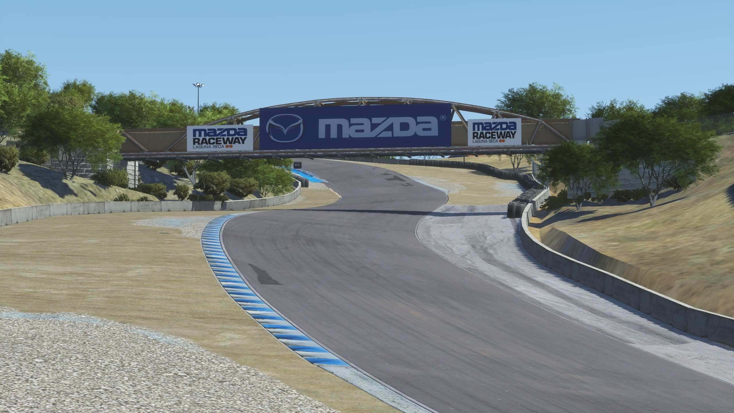 Laguna Seca DeLux