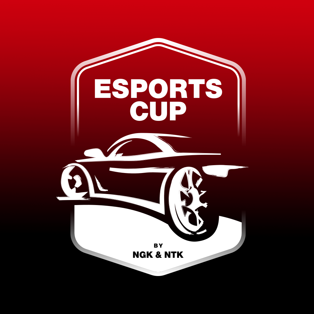 NGK & NTK ESPORTS CUP 2024