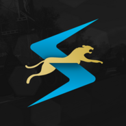 Speed Racing League