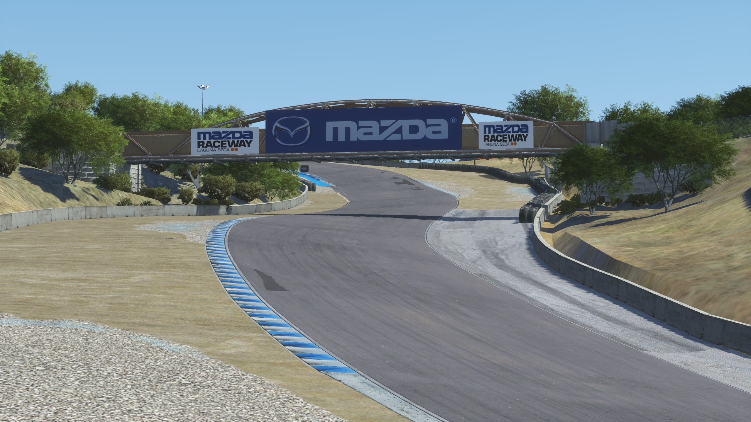 Laguna Seca DeLux