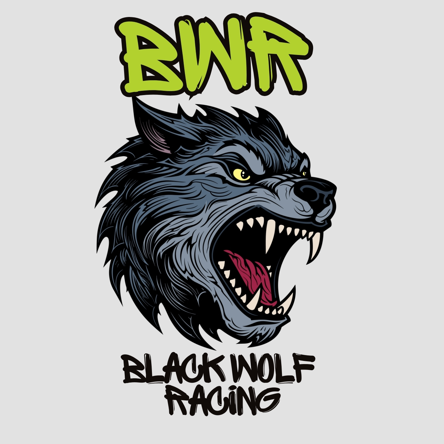 LIGA BWR - RACING EVENTS