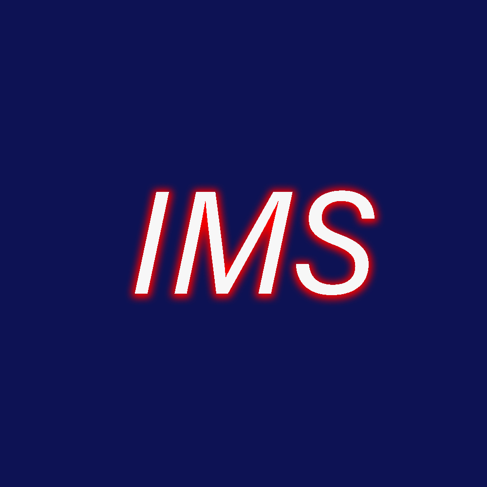 International Motor Sports